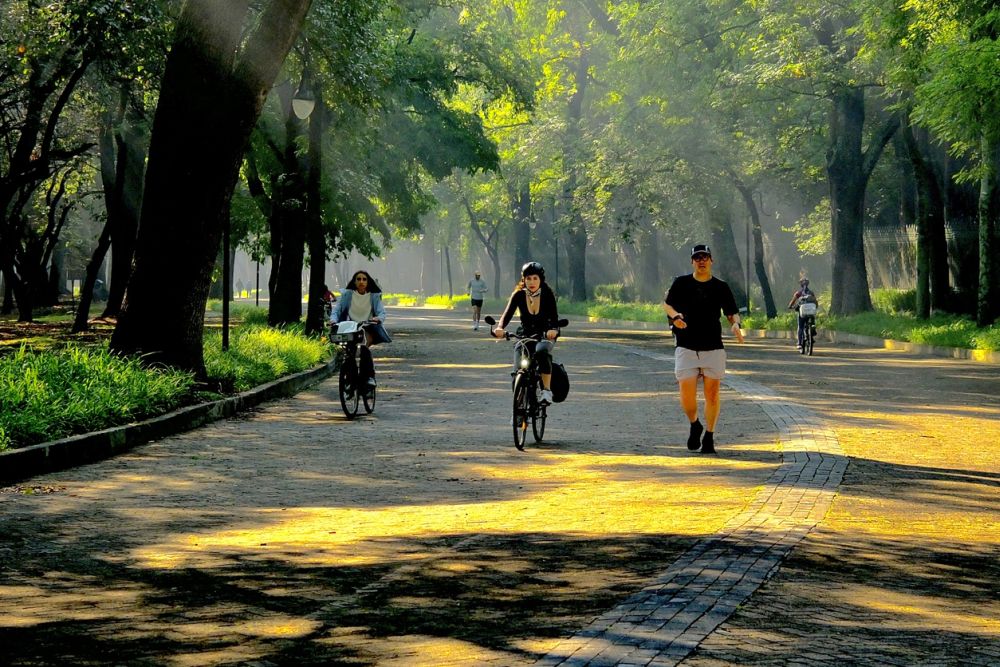 Mexico City, CDMX, Mexico - April 22, 2026: Cyclists and joggers move along a tree lined road illuminated by warm morning sunlight in Chapultepec Park