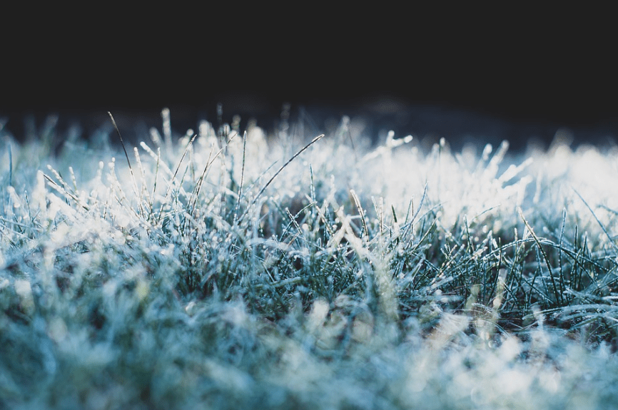 frost-winter-freeze-frozen-ice