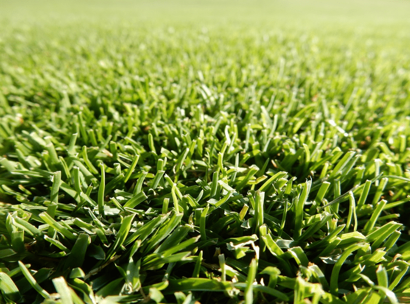 grass-fresh-golf-fairway-cut